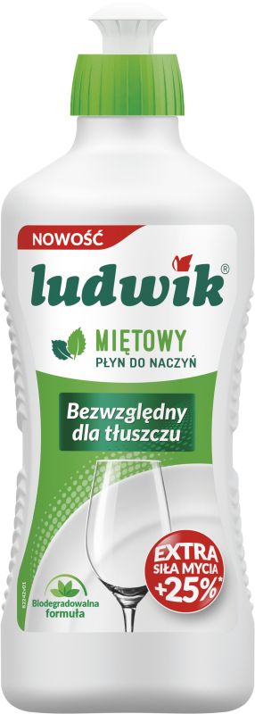 LUDWIK PLYN NACZYN MIETA 450ML\1szt