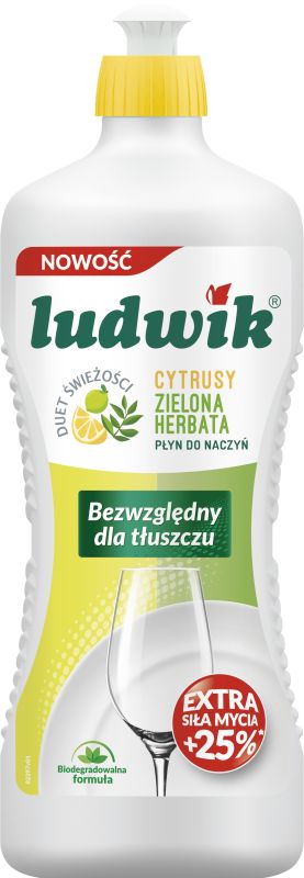 LUDWIK PLYN NACZYN ZIELONA HERBATA 900ML\1szt